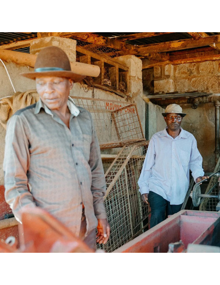 Nordbeans Rodolfina - Szűrő 250g