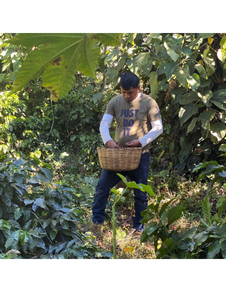 Nordbeans Rodolfo - ESP 250g