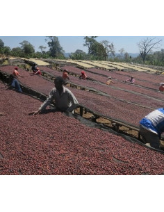 Kávé Francin Kenya Ndundu 250 g 2