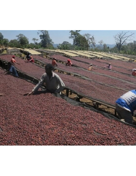 Kávé Francin Kenya Ndundu 250 g