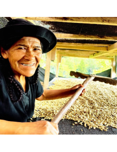 Peru Huancaruna BIO, Arabica kávébabok 2