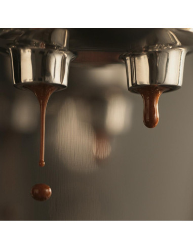 SAGE THE BAMBINO™ PLUS SES500BTR karos kávéfőző SAGE THE BAMBINO™ PLUS SES500BTR