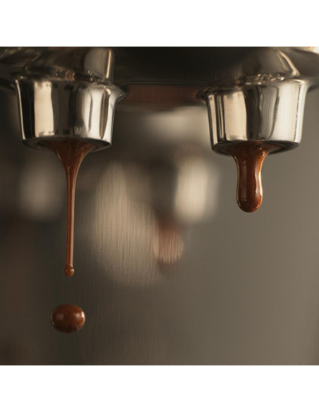 SAGE THE BAMBINO™ PLUS SES500BTR karos kávéfőző SAGE THE BAMBINO™ PLUS SES500BTR