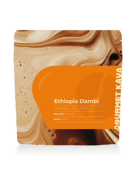 GourmetCoffee Specialty Etiópia Dambi Natural 250g