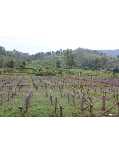 GourmetCoffee Specialty Burundi Yandaro 250g