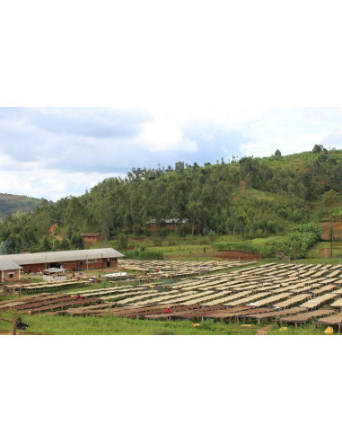 GourmetCoffee Specialty Burundi Yandaro 250g