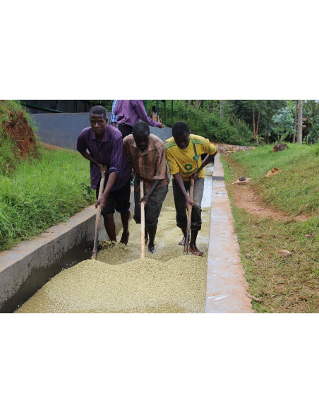 GourmetCoffee Specialty Burundi Yandaro 250g