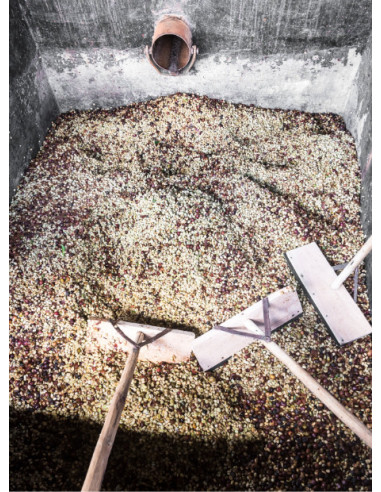 GourmetKáva Specialty – Kenya Kiri 250 g