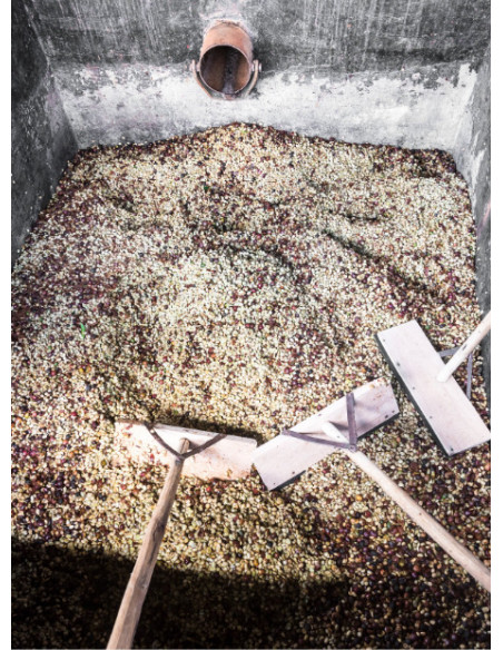 GourmetKáva Specialty – Kenya Kiri 250 g