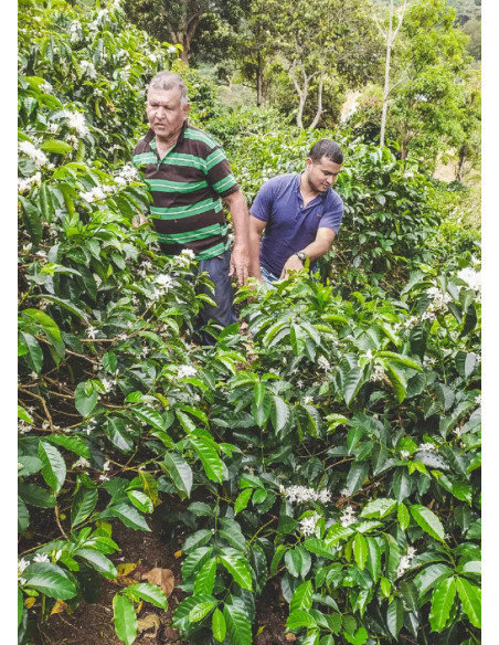 Kafe Francin Kolumbia Finca La Providencia De Jeshua 250 g