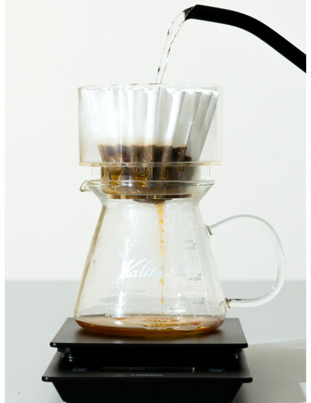SIMPLIFY the Brewer átlátszó