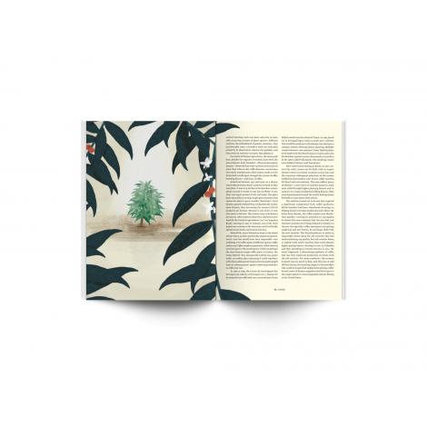 Standart Magazin No. 11