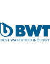 BWT