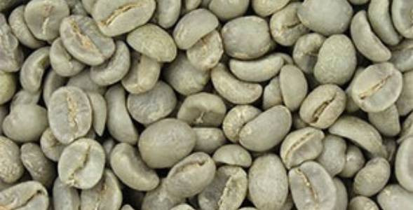 Zöld kávé - a pörtetlen kávé hatása