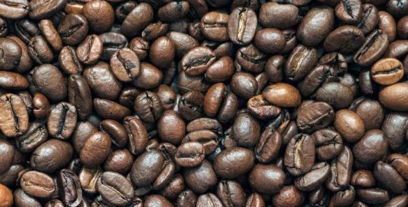 A kávéfák fajtái és a kávétermesztés