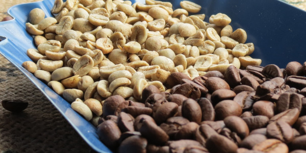 Zöld kávé elkészítése pörköléssel