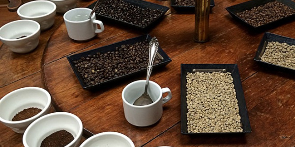 Házi cupping készítése - kávékóstolás