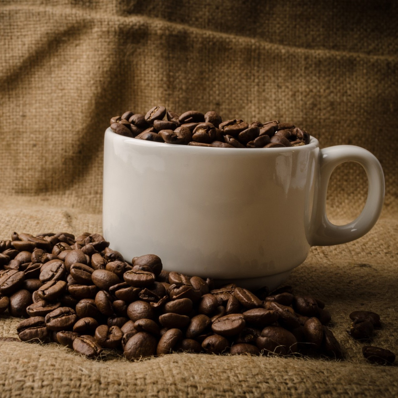 Hogyan válasszunk kávébabot